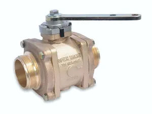 3.0 in. Generation II Swing-Out Valve (Body Only) w/Stainless Ball - R-1 Handle 3.0 in. FNPT