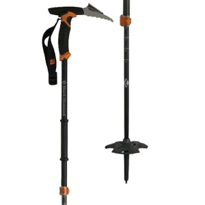 Carbon Whippet Ski Poles