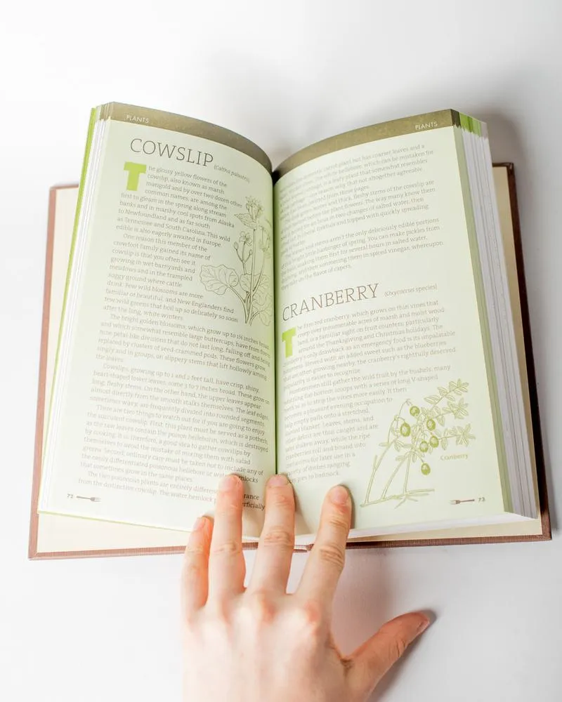How to Eat in the Woods A Complete Guide to Foraging Trapping Fishing & Finding Sustenance in the Wild