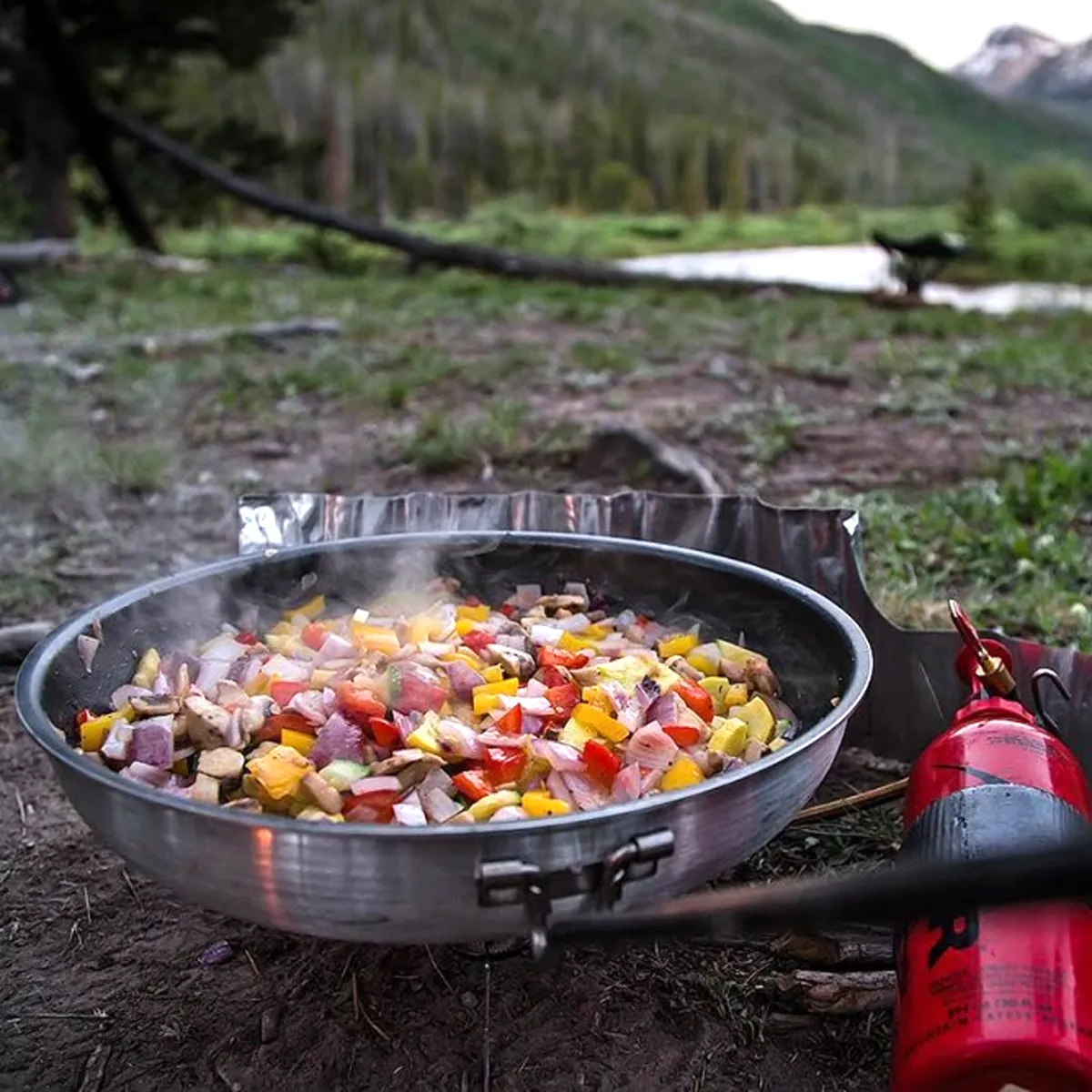 Pinnacle 10" Frypan