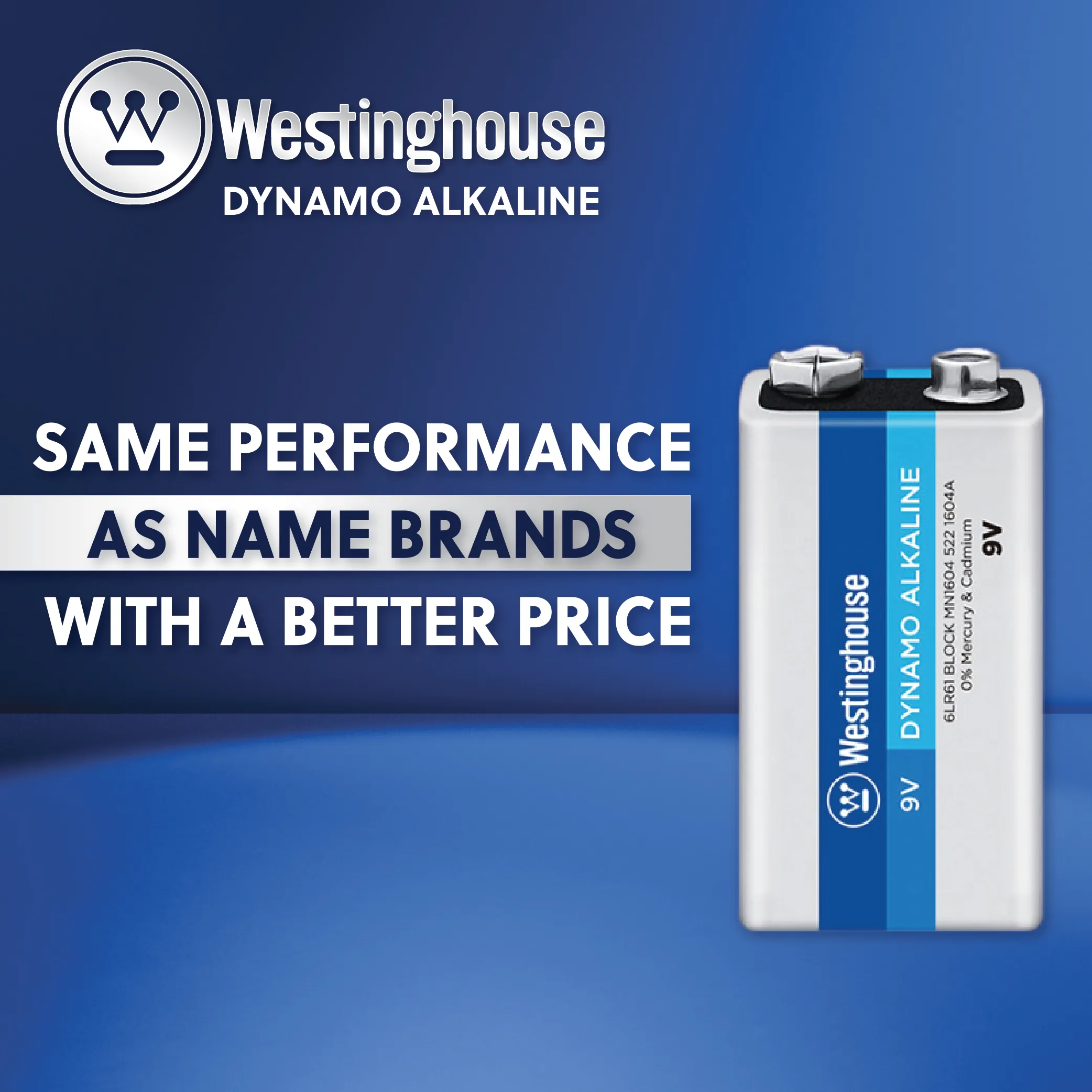 Westinghouse C Dynamo Alkaline Plastic Tub of 6